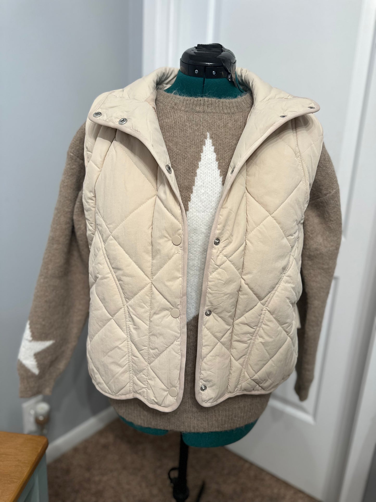 Button down puffer vest with pockets